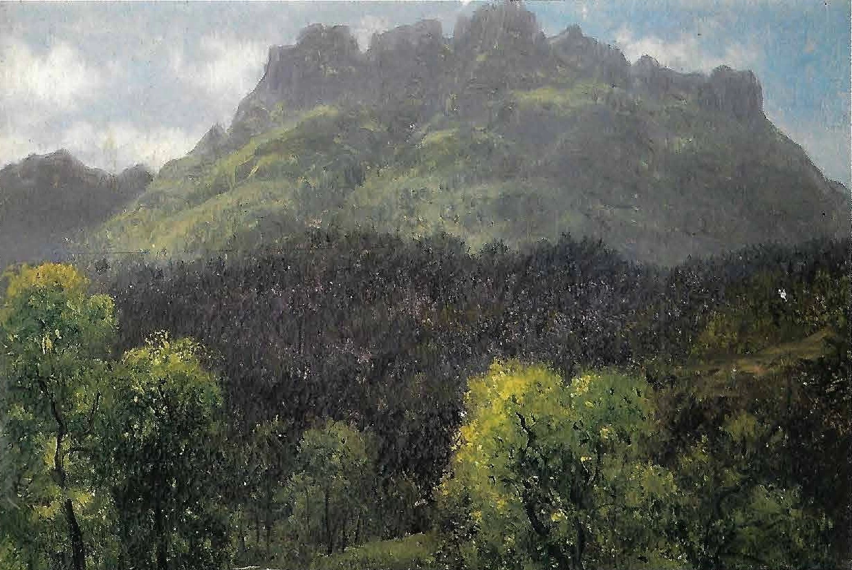 120-Giovanni Renica-Montagna e bosco - Ateneo di Scienze Lettre ed Arti, Brescia
